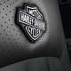 Illustration for article titled International Lonestar Harley-Davidson Special Edition: A Truck For Real Men